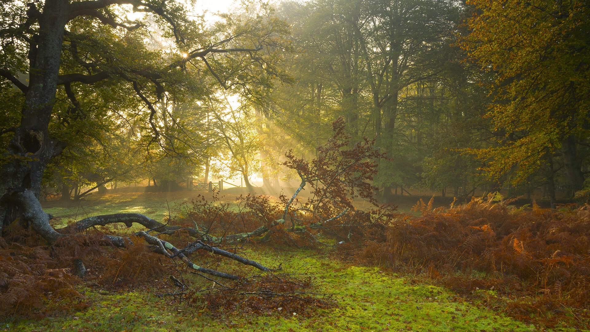 _云端极速跑:虚拟空间中挑战极限_,云端超级云