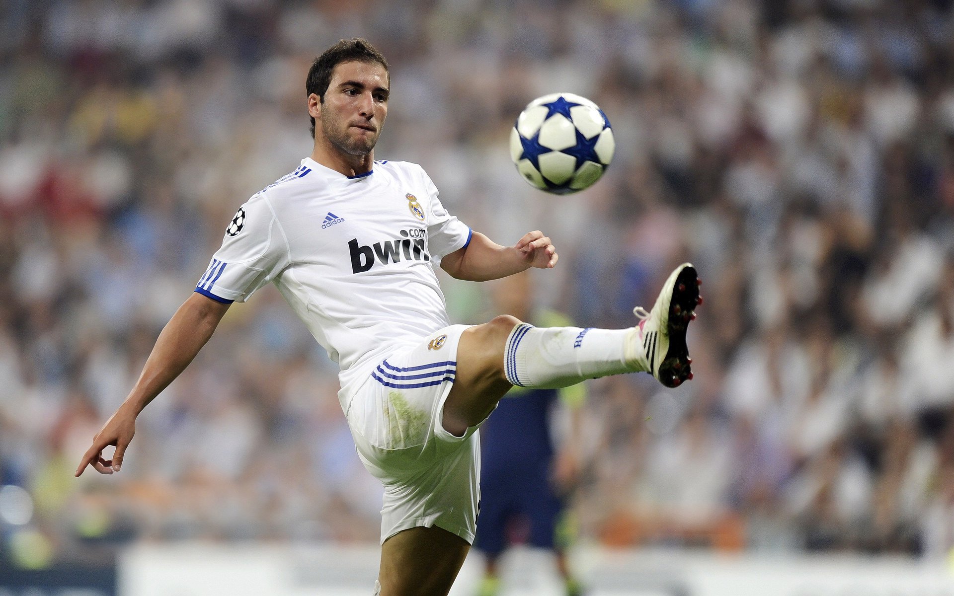 政府助力橄榄球场馆设施建设，橄榄球场地面积